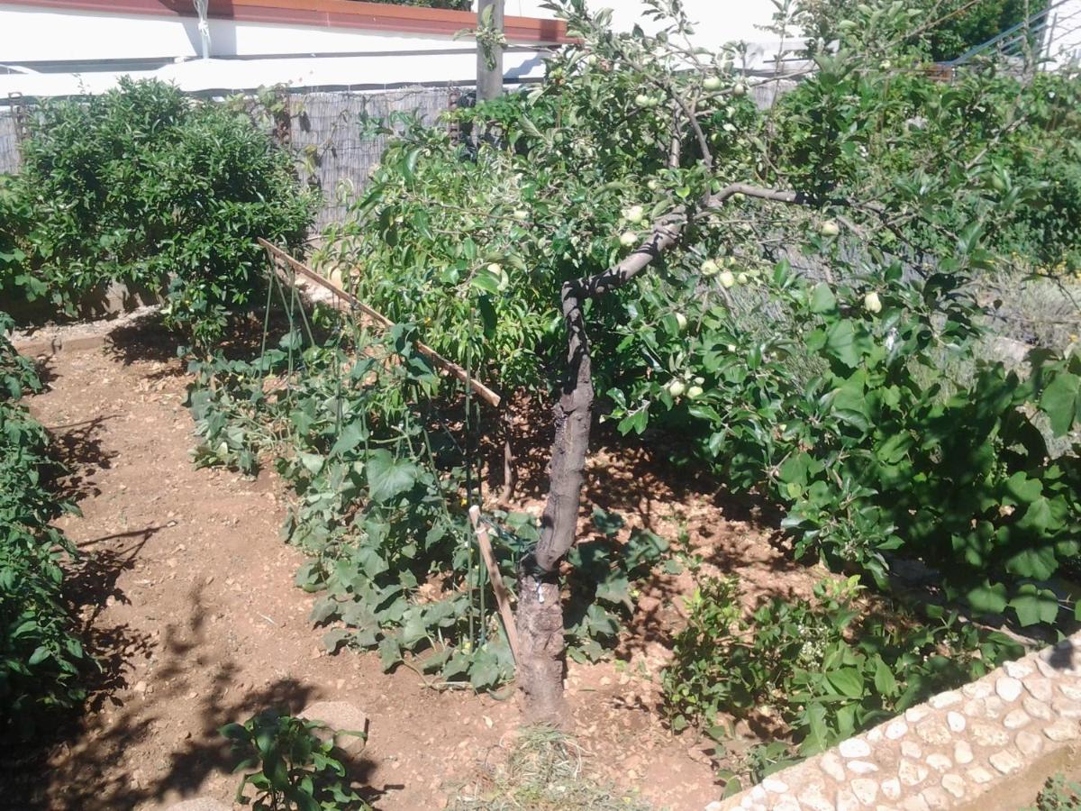 Apartment Mile Szybenik Zewnętrze zdjęcie